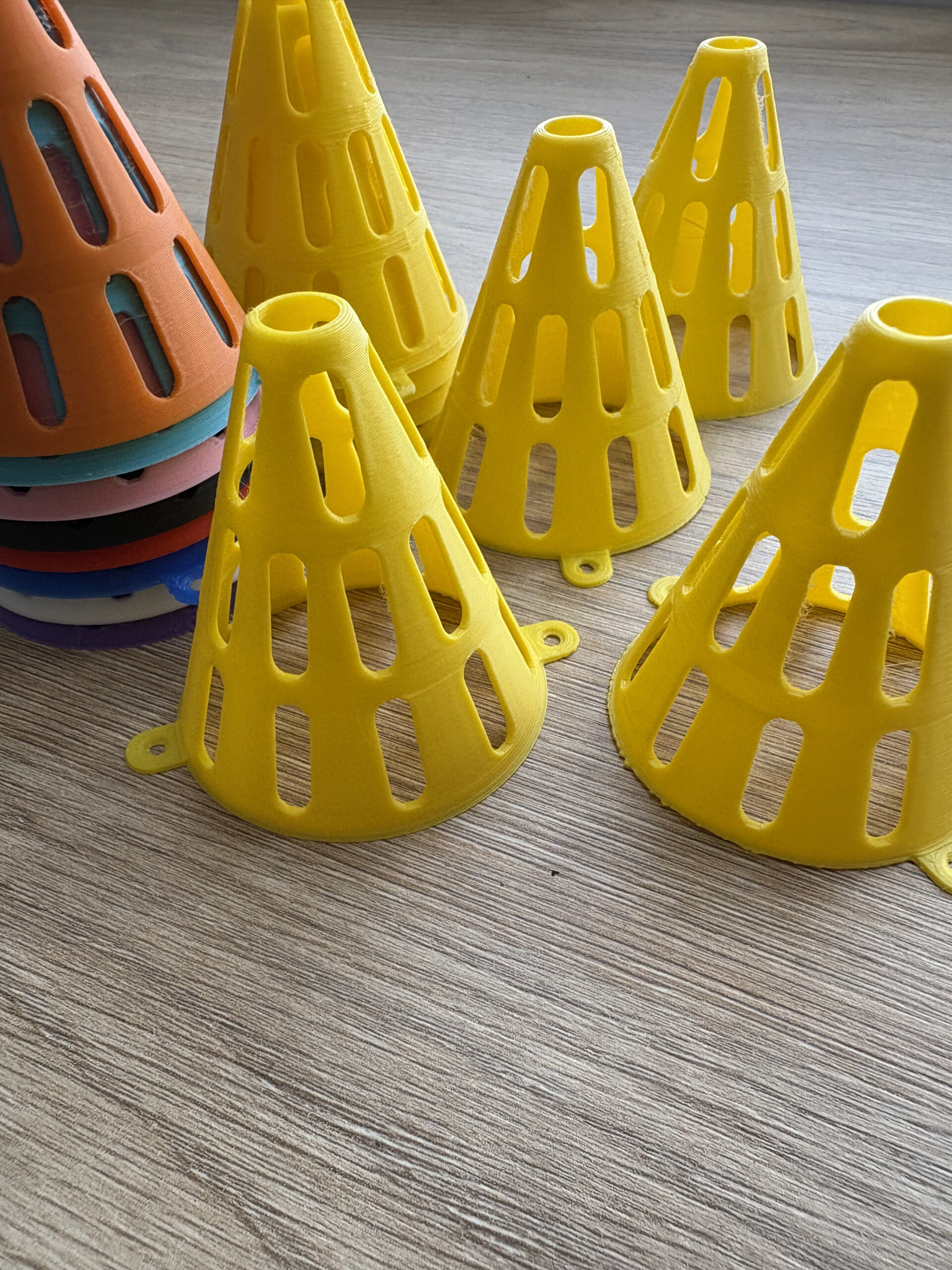 Piège à frelon asiatique imprimé en 3D – Fabrication française – Système sélectif anti-abeilles