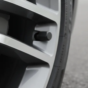 Bouchons de valve universels – Set de 4 pour auto, moto et vélo